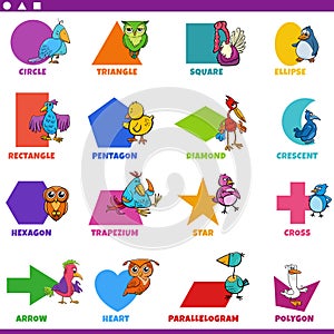 Basic geometric shapes with cartoon birds characters set