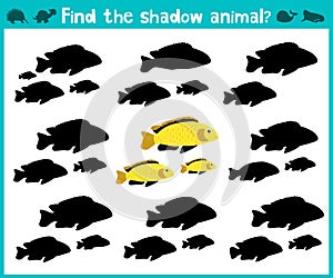 Educational children cartoon game for children of preschool age. Find the right shade of cute aquarium fish. Vector