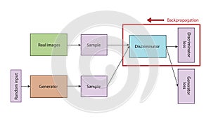 Discriminator Model Diagram in Artificial Intelligence
