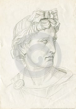 Educational drawing gypsum head portrait Apollo Belvedere. Lead pencil on paper
