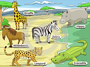 Educational game African savannah animals