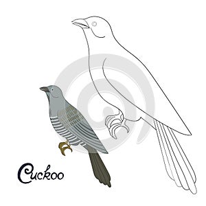 Educational game coloring book cuckoo bird vector