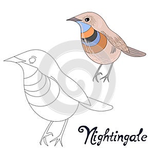Educational game connect dots draw nightingale