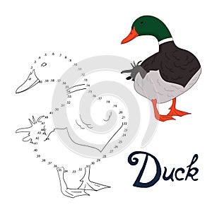 Educational game connect dots to draw duck bird