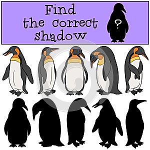 Educational game: Find the correct shadow