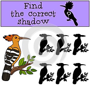 Educational game: Find the correct shadow. Cute beautiful hoopoe