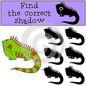 Educational game: Find the correct shadow. Cute green iguana.