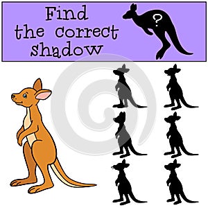 Educational game: Find the correct shadow. Little baby kangaroo.