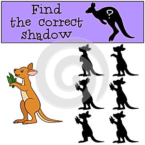 Educational game: Find the correct shadow. Little baby kangaroo.