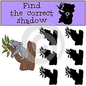 Educational game: Find the correct shadow. Little cute baby koala.