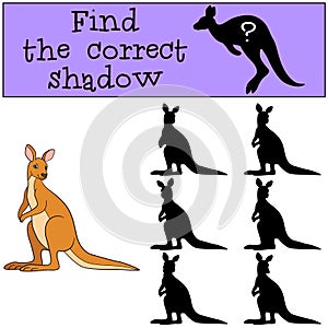 Educational game: Find the correct shadow. Little cute kangaroo.