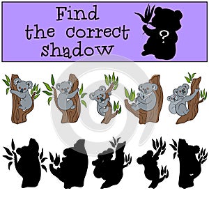 Educational game: Find the correct shadow. Little cute koala.