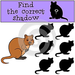 Educational game: Find the correct shadow. Little cute quokka smiles