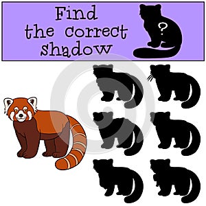 Educational game: Find the correct shadow. Little cute red panda