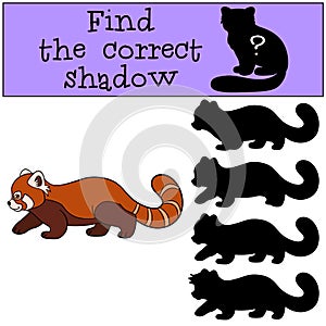 Educational game: Find the correct shadow. Little cute red panda