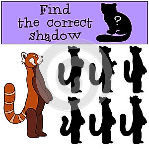 Educational game: Find the correct shadow. Little cute red panda