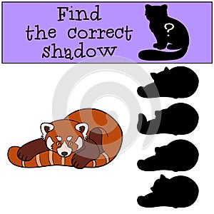 Educational game: Find the correct shadow. Little cute red panda