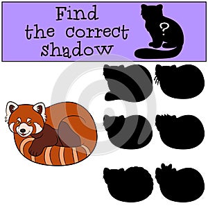 Educational game: Find the correct shadow. Little cute red panda