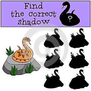 Educational game: Find the correct shadow. Little cute viper