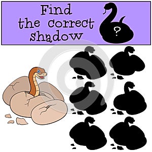 Educational game: Find the correct shadow. Little cute viper