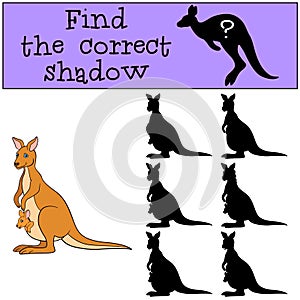Educational game: Find the correct shadow. Mother kangaroo and b
