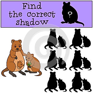 Educational game: Find the correct shadow. Mother quokka with babies