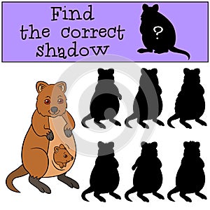 Educational game: Find the correct shadow. Mother quokka with baby