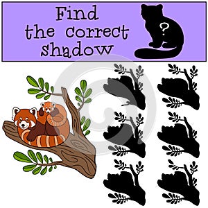 Educational game: Find the correct shadow. Red panda with baby