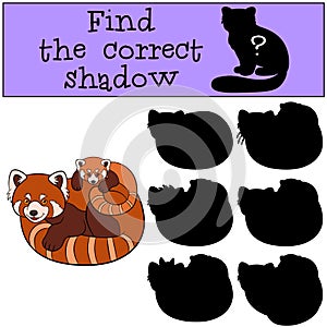 Educational game: Find the correct shadow. Red panda with baby