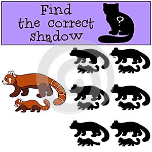 Educational game: Find the correct shadow. Red panda with baby