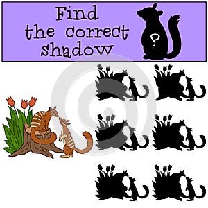 Educational game: Find the correct shadow. Two little cute numbats