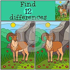 Educational game: Find differences. Beautiful urial with great horns