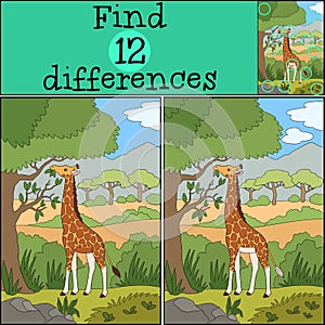 Educational game: Find differences. Big giraffe with long neck stands and eats leaves