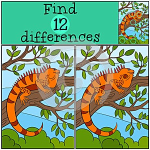 Educational game: Find differences. Cute iguana sits on the tree