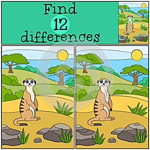 Educational game: Find differences. Little cute meerkat smiles.