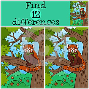 Educational game: Find differences. Little cute red panda eats