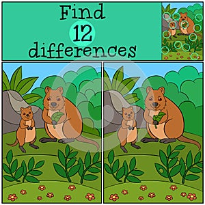 Educational game: Find differences. Mother quokka with her baby