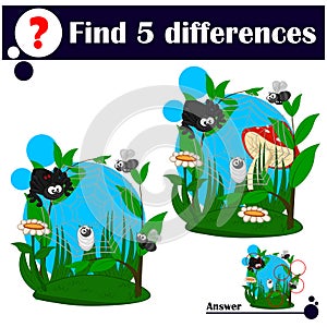 Educational game: Find differences. The spider caught a fly in its web