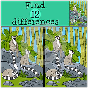 Educational game: Find differences. Three little cute lemurs.