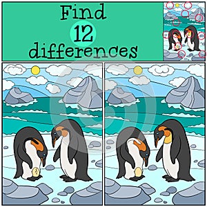 Educational game: Find differences. Two cute penguins with egg