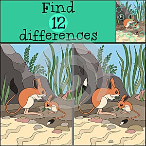 Educational game: Find differences. Two little cute quokkas
