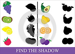 Educational game for kids. Find the correct shadow.