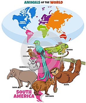 Educational illustration of cartoon South American animals