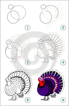 Educational page for kids shows how to learn step by step to draw a cute turkey. Back to school. Developing children skills.