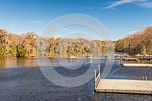 Edward Ball Wakulla Springs state park, Florida photo