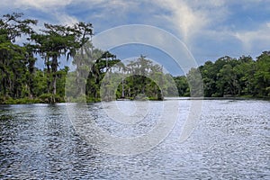 Edward Ball Wakulla Springs State Park in Northern Florida