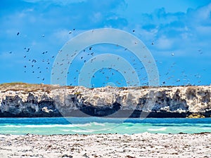 Edwards Island is an island in Lancelin. The island is 0.454 hectares with a elevation of 5 metres and is situated 100 metres off