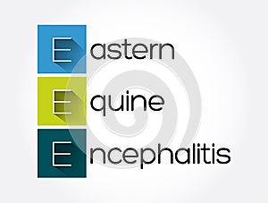 EEE - Eastern Equine Encephalitis acronym, medical concept background