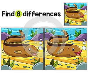 Eel Animal Find The Differences