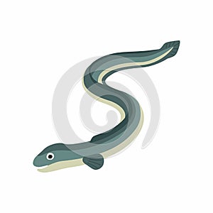 Eel fish. Vector illustration isolated on white background. photo
